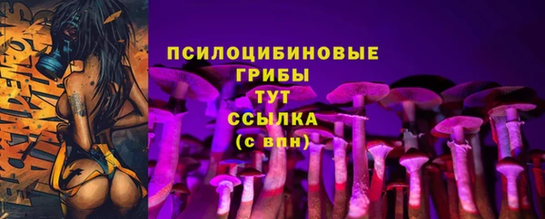 кокс Алексеевка