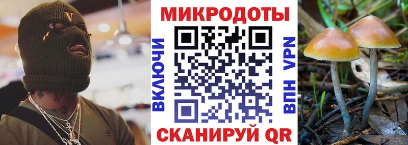 магазин  наркотиков  Сосновый Бор  Галлюциногенные грибы Magic Shrooms 